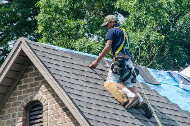 Best Roof Repair Services  in West Liberty, WV